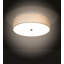 Zortman 4 - Light Flush Mount