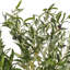 Arbre à fleurs vert olive Vickerman-73286562