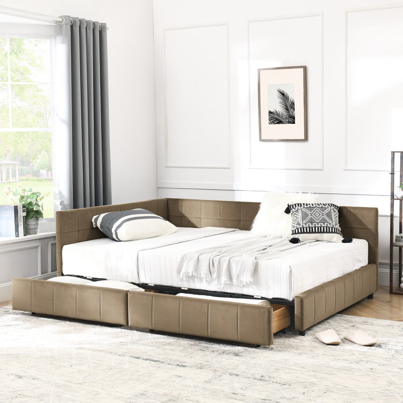 Double et grand - revêtu de velours brun avec cadre de rangement supplémentaire pour le salon de la chambre à coucher, Brun