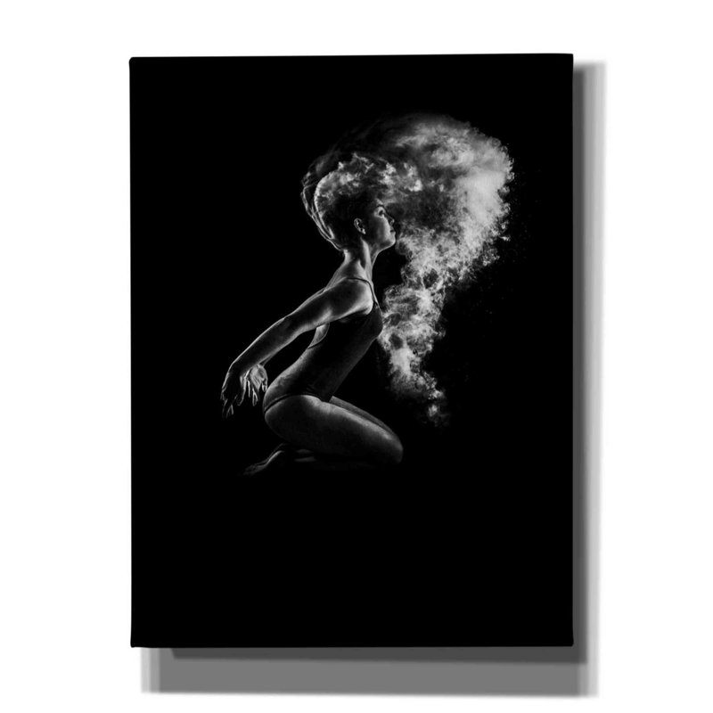 Demaj saupoudré sur toile par Design Fabrikken, H 16 po x l 12 po x P 0,75 po