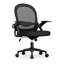 Ergonomic Mesh Desk Chair, Swivel Office Chair with Flip-Up Armrests, Medium Size-1253284621