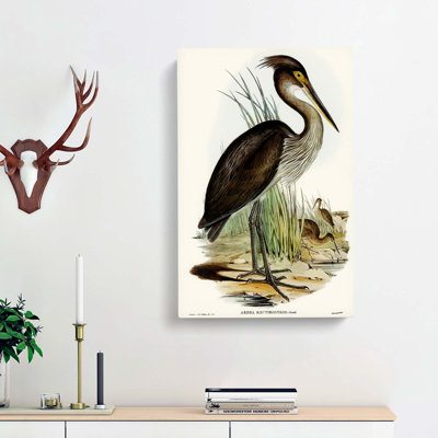 Great-Billed Heron by Elizabeth Gould - Wrapped Canvas Painting