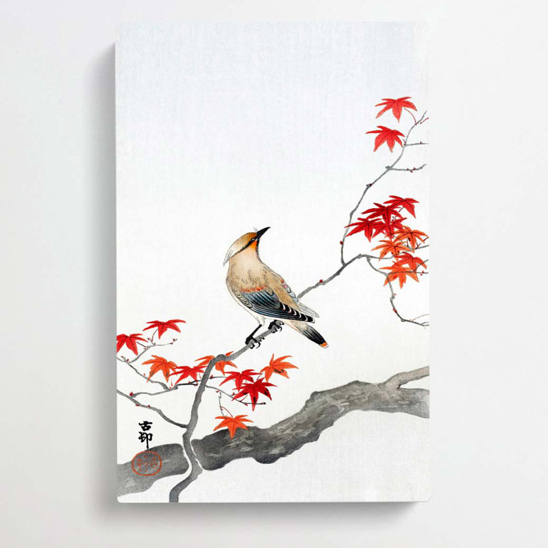 Bird upon a Maple Tree by Ohara Koson - Wrapped Canvas, 50cm H x 35cm W x 3cm D