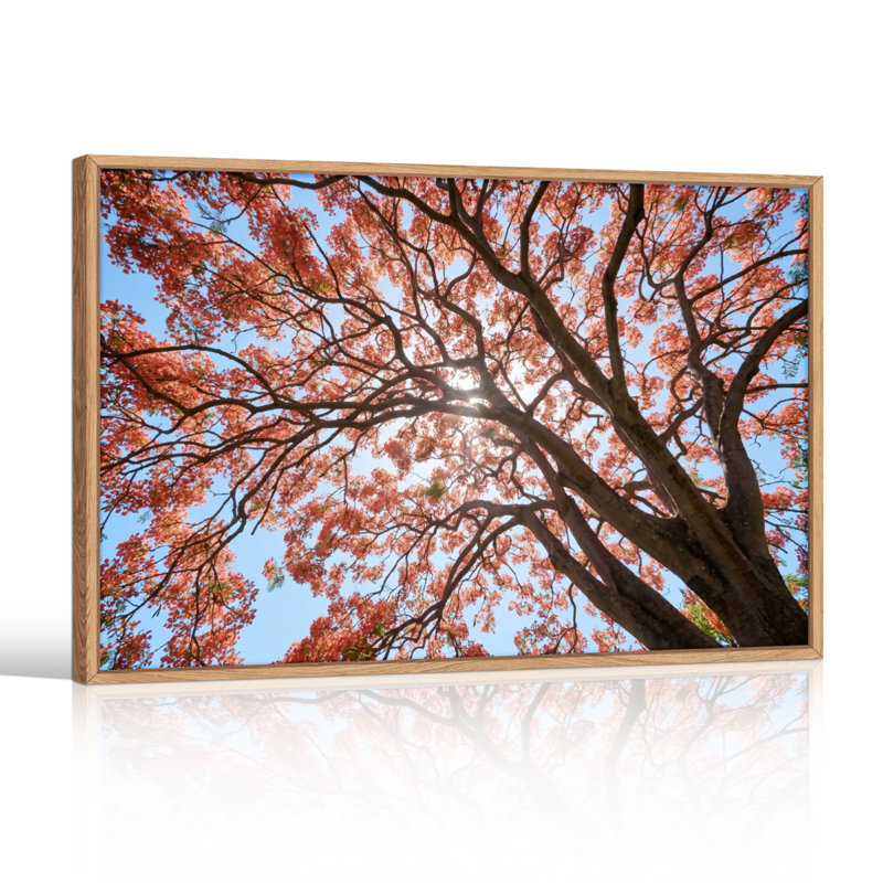 Ensemble de 1 tableau sur toile représentant un arbre d'automne, H 36 po x l 48 po, Naturel