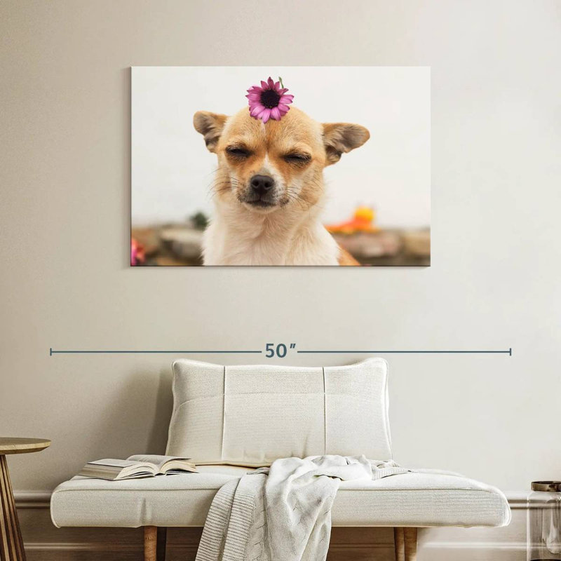 Fleur sur chihuahua, H 26 po x l 39 po