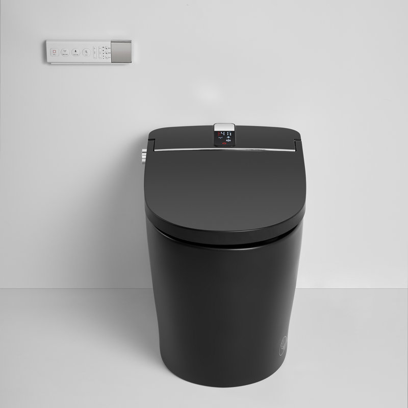15-3/4'' H Floor Mount Smart Toilet with Water Tank and Soft-closing Heated Seat, Matte Black with Water Tank