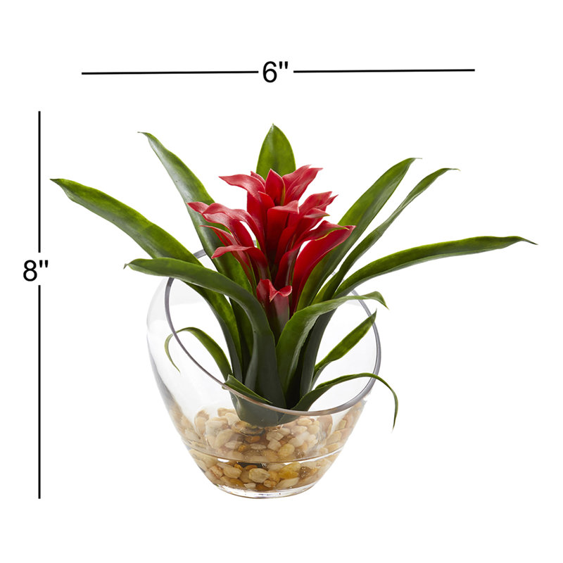 Arrangement floral de broméliacées tropicales dans un vase, Jaune