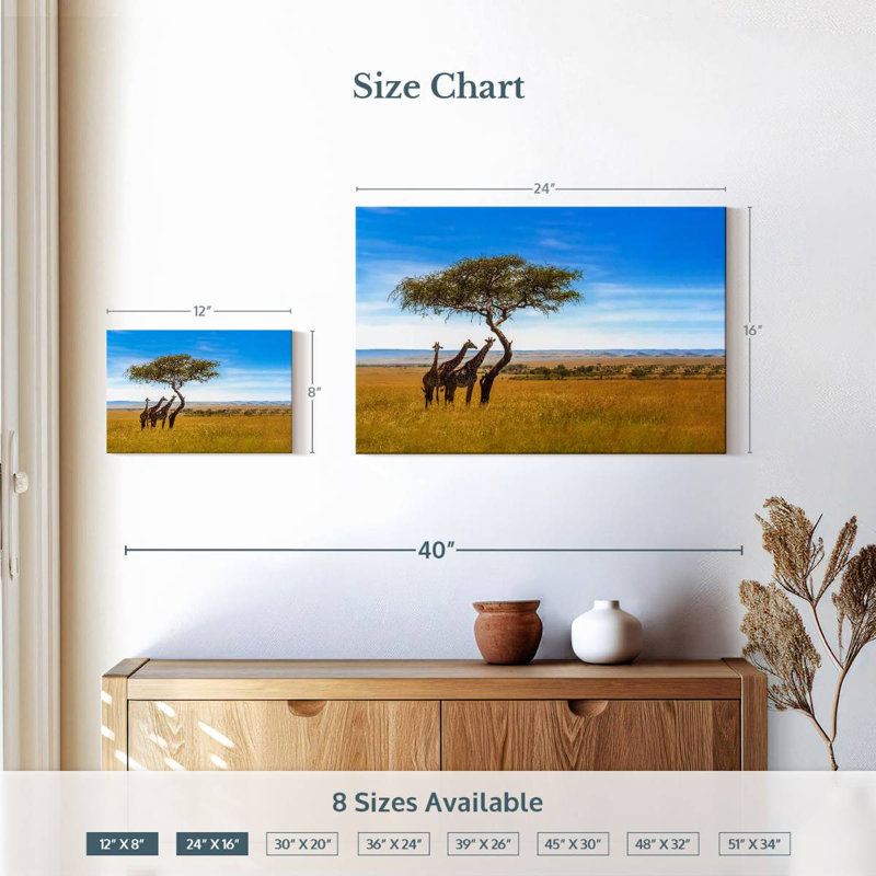 African Savanna Giraffes, H 16 po x l 24 po