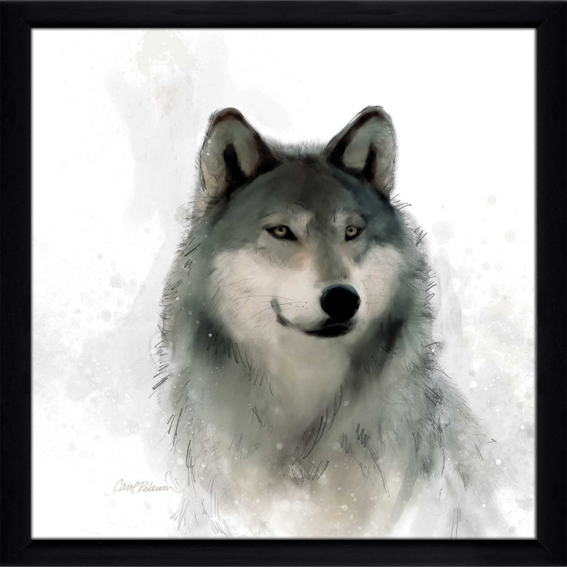 «Rainsoft Wolf» par Carol Robinson - reproduction de cadre photo, H 27,5 po x l 27,5 po x P 0,75 po