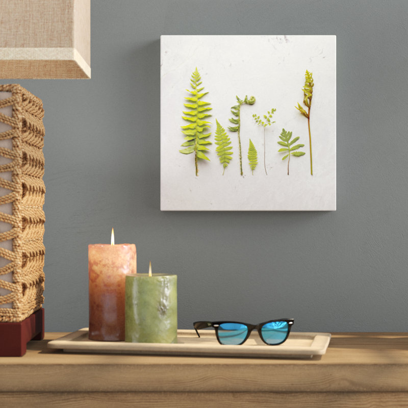Flat Lay Ferns III by Felicity Bradley - No Frame Print on Canvas, 30cm H x 30cm W