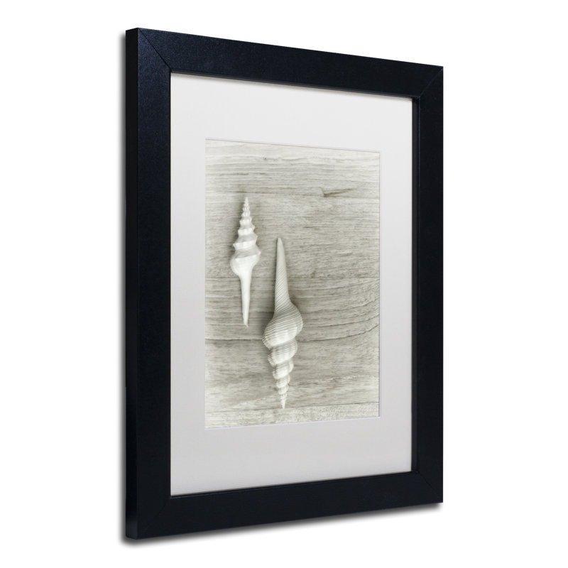 «Two White Shells», reproduction de photo encadrée, H 14 po x l 11 po x P 0,5 po, Noir