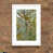 White Frame is unavailable