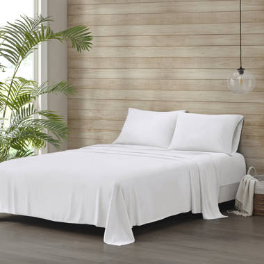 Beautyrest Waffle Weave Cotton Blanket - On Sale - Bed Bath & Beyond -  36862222
