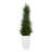 Cypress Artificial Tree in Planter UV Resistant