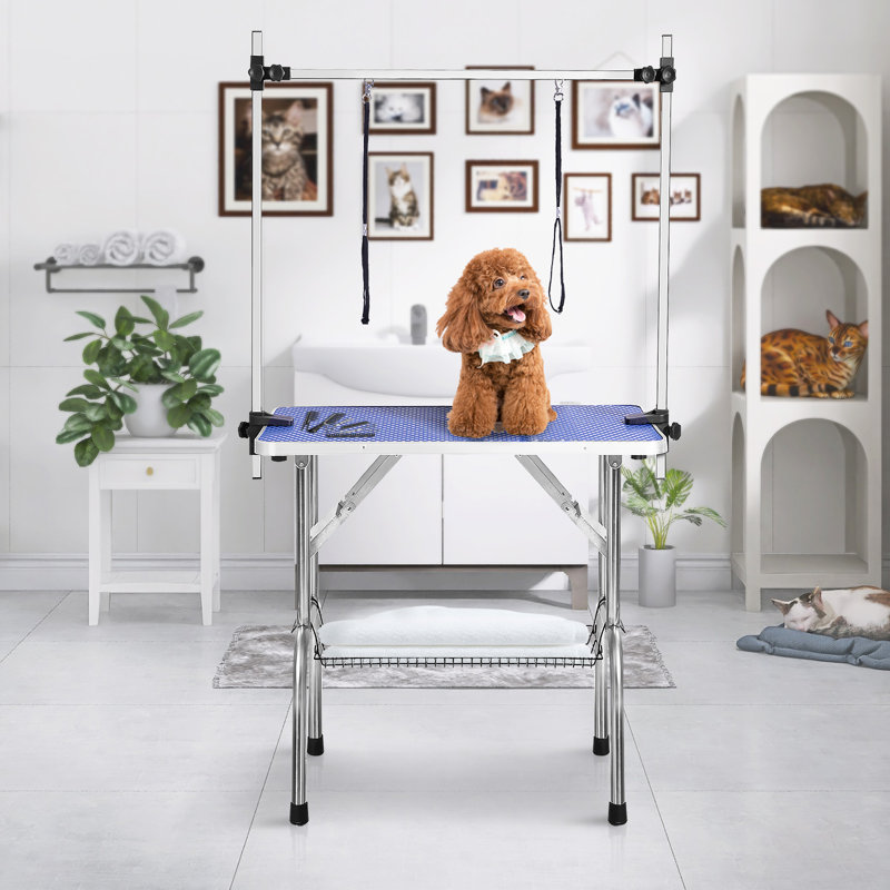 Table de toilettage professionnelle réglable, Bleu, H 30 po x l 36 po x P 23,5 po