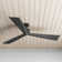 Mirage 60'' Ceiling Fan