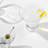 JoyJolt Afina Stemless Martini Glasses, 8oz.