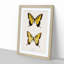 Eastern Tiger Swallowtail Butterfly by S.F. Denton - Picture Frame Graphic Art Print-55537117-55537121