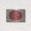  «Bowls Of Fruit 4» par Alicia Ludwig, art mural en métal, 24 po x 16 po-2067212331