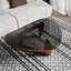 Table basse moderne en verre de style moderne Mid-Century, tables basses élégantes de 35,8 po x 25,6 po x 15,7 po, noyer