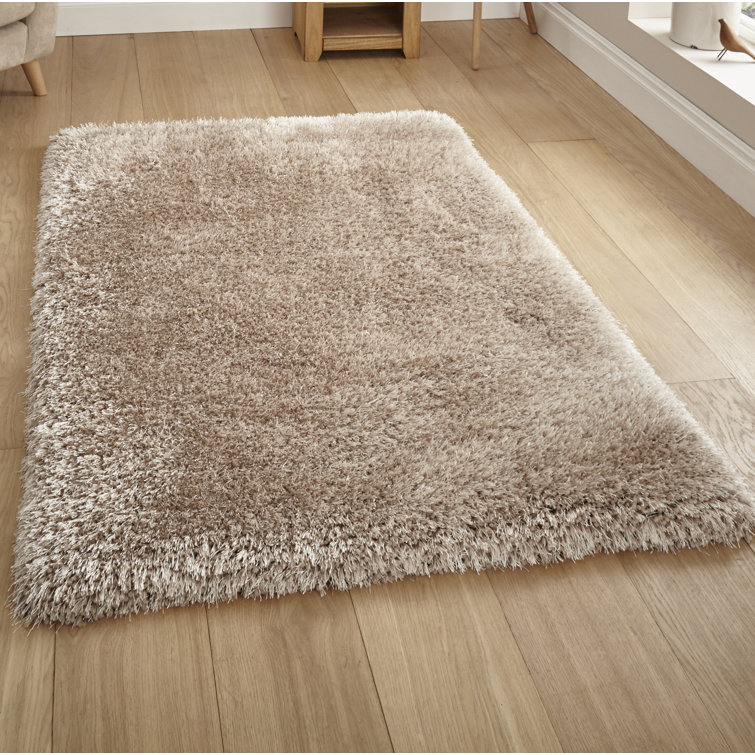 Hetzel Hand Tufted Shaggy Area Rug