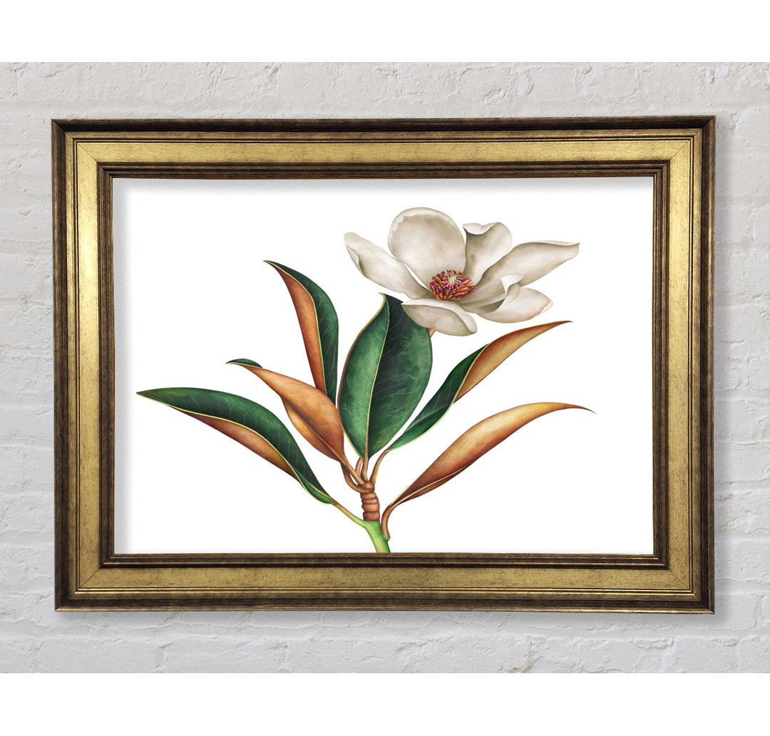 Britische Blumenillustration - Druck