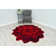 Tapis rouge Vesta