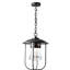 Luminaire suspendu d'extérieur 1 lumière Erlenmeyer-38841427