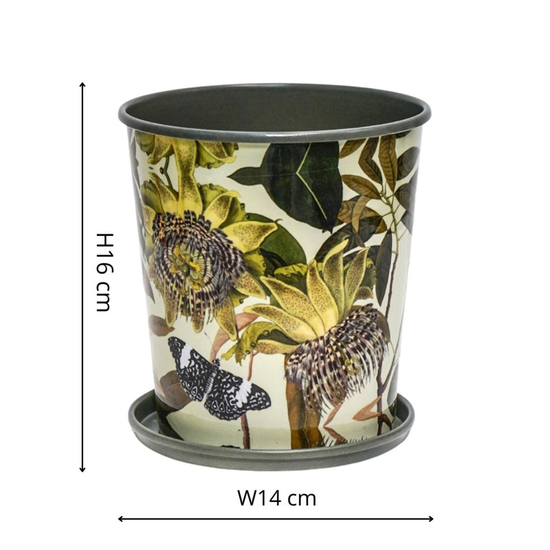 Metal Pot Planter, 16 cm H x 14 cm W x 14 cm D