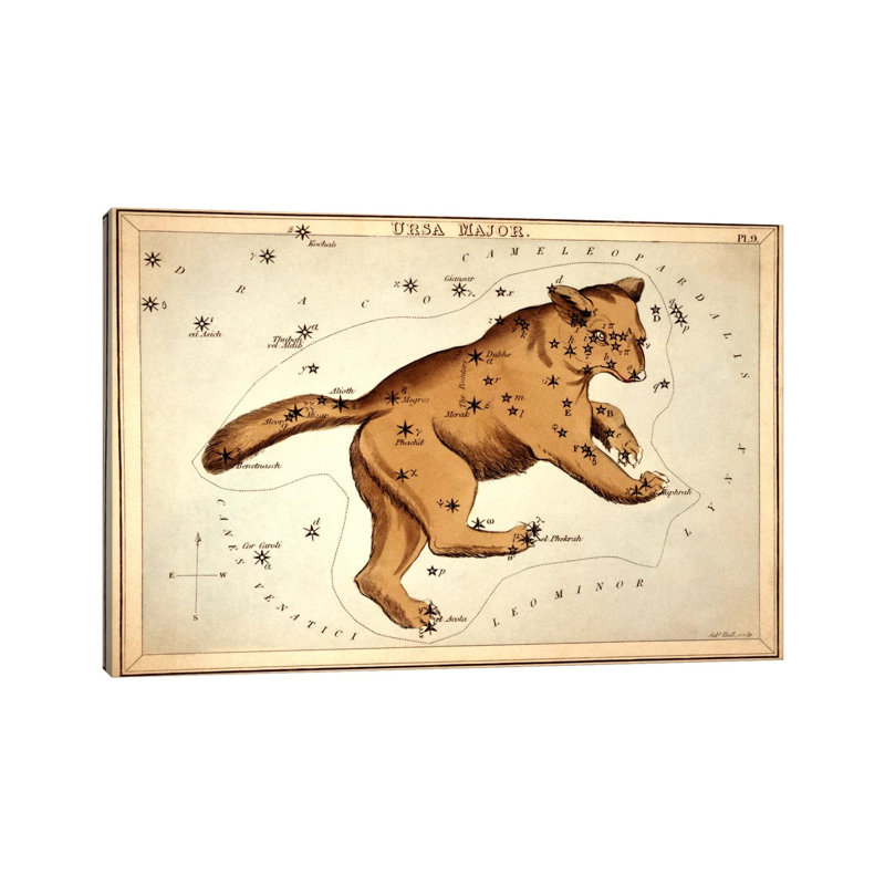 Ursa Major Ll by Sidney Hall - Wrapped Canvas Gallery-Wrapped Canvas Giclée, 101.6 cm H x 66.04 cm W x 1.91 cm D