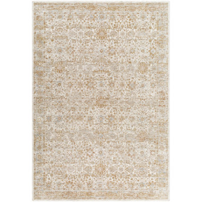 Aunah Traditional Machine Woven Area Rug DVC2306