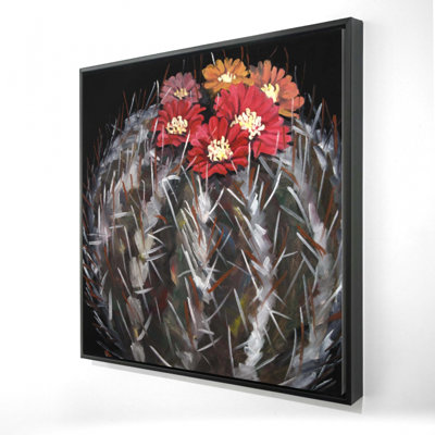 " Mammillaria Cactus In Bloom "