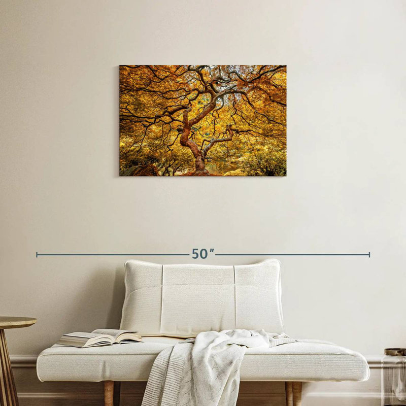 Harnek Yellow Japanese Maple Tree, 20" H x 30" W