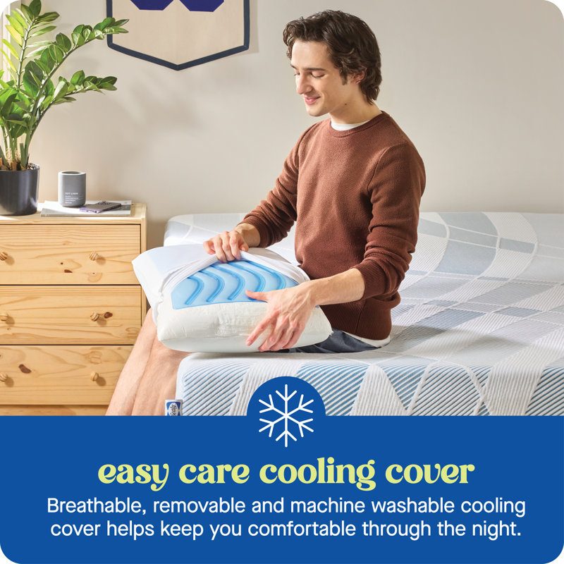 Sealy Dreamlife Memory Foam Gel Medium Firm Pillow, Standard, 2