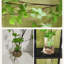 Brun, blanc, forme libre, peinture sur cristal, art mural-118390646