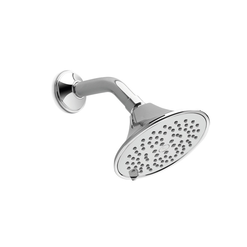 Pomme de douche TOTO® Transitional Collection A à cinq modes de pulvérisation, 2,5 gallons par minute, 5,5 pouces, chrome poli