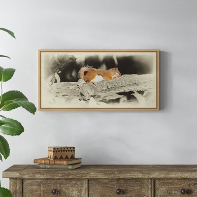 " Sleeping Squirrel "