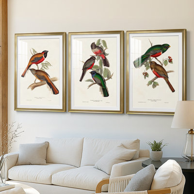 ElegantTrogonsIV  -Custom Framed  Premium Print W Matt - 3 Pieces