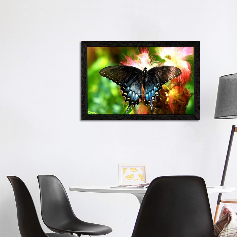 Swallowtail Butterfly - Floater Frame Print on Canvas, 66.04 cm H x 45.72 cm W, Black Framed