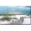 «Sunset Isle II» par Danita Delimont - photographie-64743646-64743649