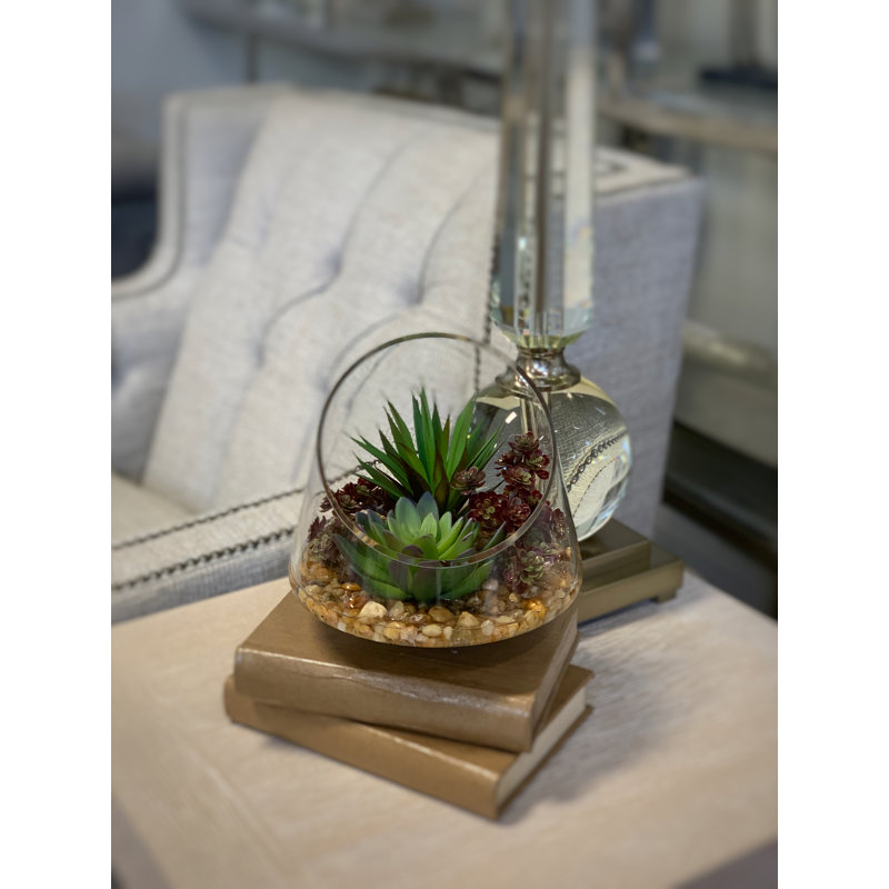 Succulent Arrangement with Sedum, Marginata and Cactus