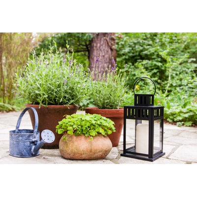 Nature morte dans un jardin - Photographie sur toile tendue