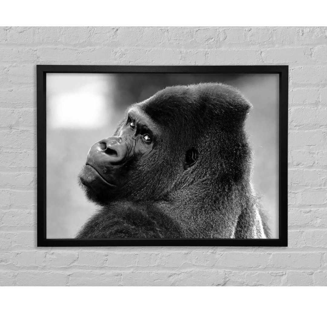 Gorilla Face - Einzelner Bilderrahmen Kunstdrucke auf Leinwand