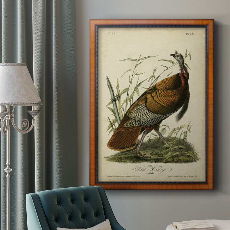 Toile de qualité supérieure Audubon Wild Turquie, prête à être accrochée, H 20 po x l 16 po