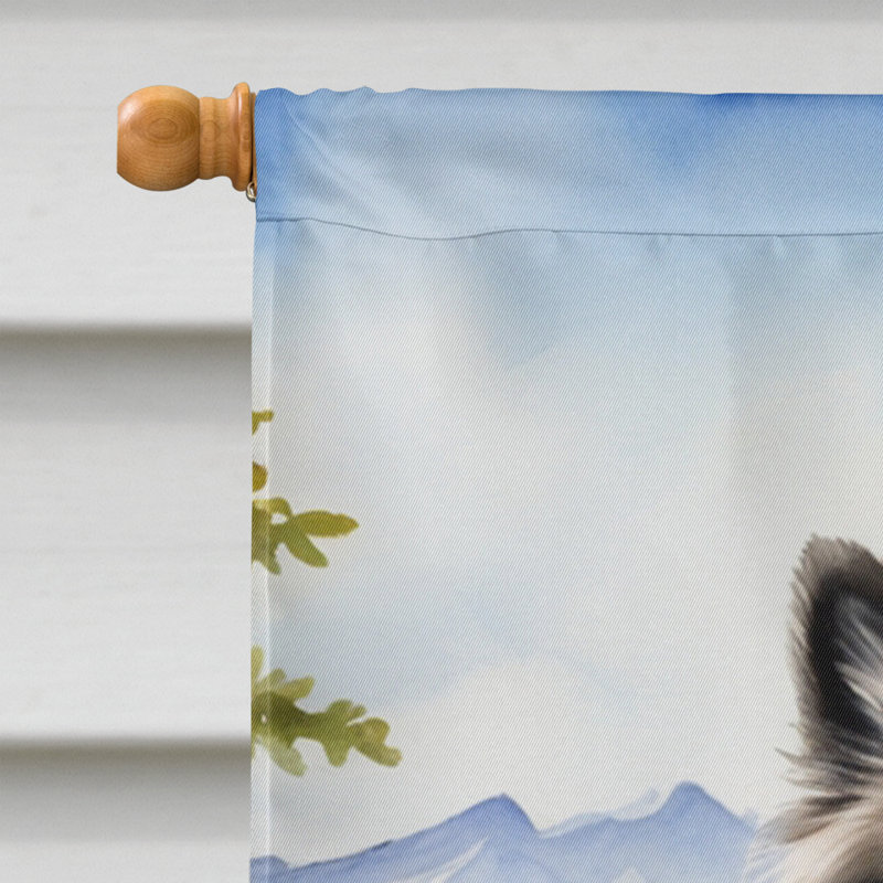 Drapeau Cowboy Welcome House, Spitz loup