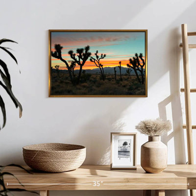 Coucher de soleil sur le parc national de Joshua Tree