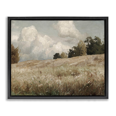 Paysage classique de champ nuageux