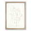 Flamingo Study by Theo Van Hoytema - Picture Frame Drawing-62801841-62801847