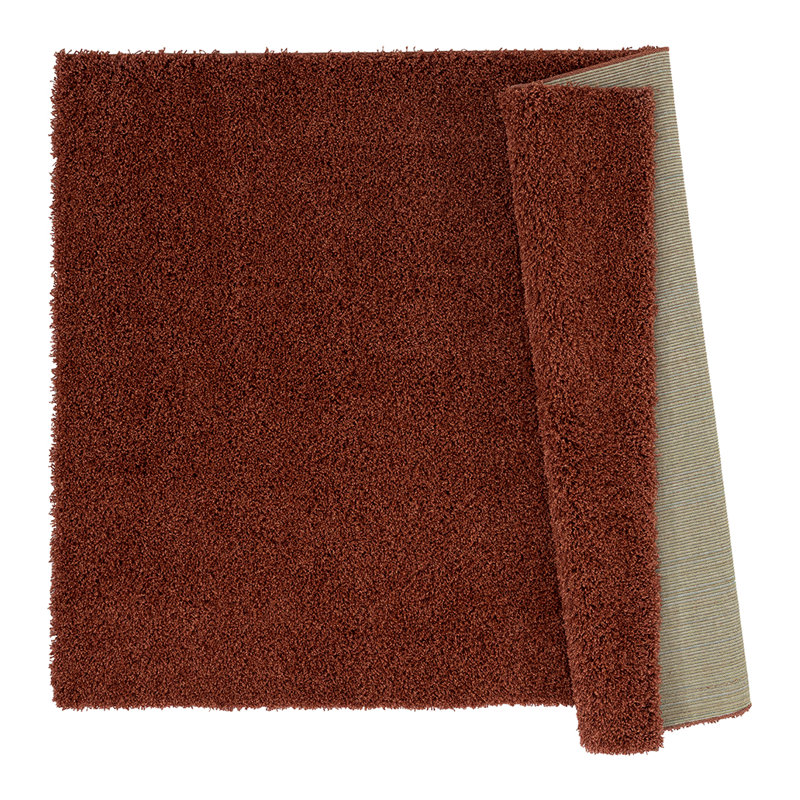 Darthy Shag Area Rug, Rectangle 66 x 120cm
