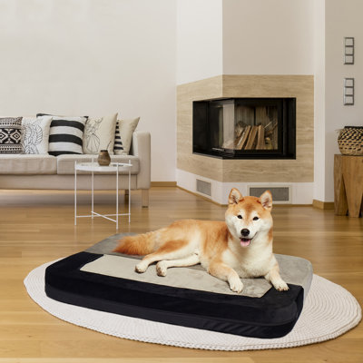 Canapé-lit orthopédique pour animal de compagnie convertible en velours Larry
